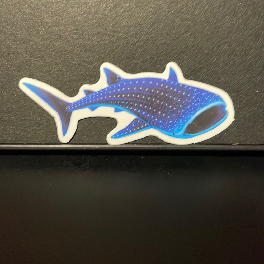WHALE SHARK FEEDING STICKER